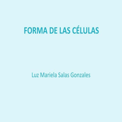 Formita celular