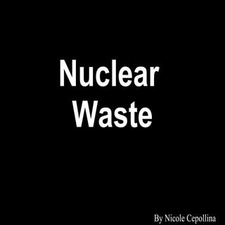 NUCLEAR WASTE PRESENTATION