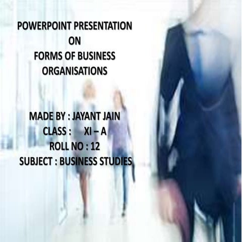 Forms of business organisations 
