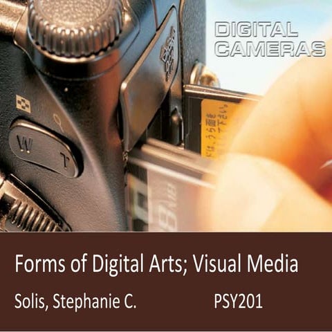 Forms of  Digital Art