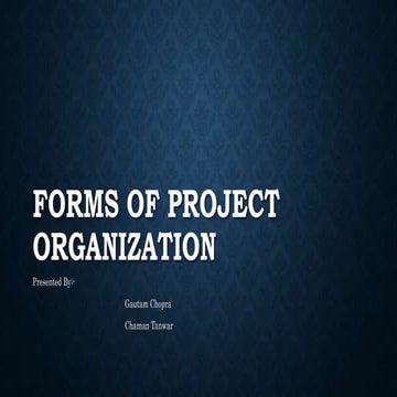 Forms of Project Organization