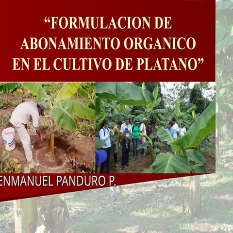 FORMULACION DE ABONAMIENTO EN CULTIVO DE PLATANO.ppt