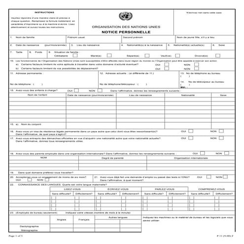 Télécharger le Formulaire p11 des Nations Unies au format word