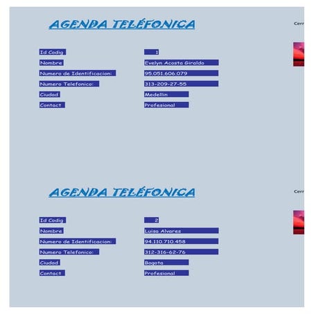 Formulario de agenda teléfonica