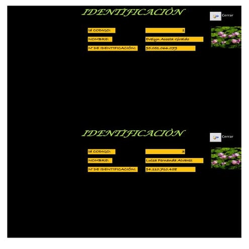 Formulario de identificación