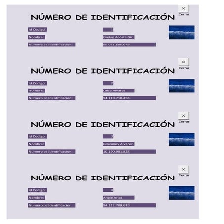 Formulario número de identificación