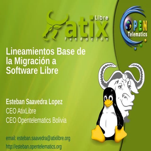 Lineas Base Migracion a Software Libre