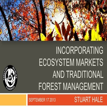 Incorporating Ecosystem Markets and Traditional Forest Management