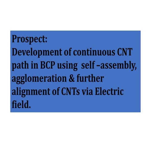 For Seminar - Prospect:  Development of continuous CNT path in BCP using  sel...