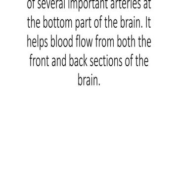 circle of Willis | PPTX