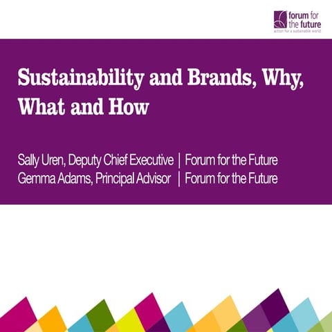 Forum for the_future_sustainability_and_brands_why_what_and_how_12_2_13