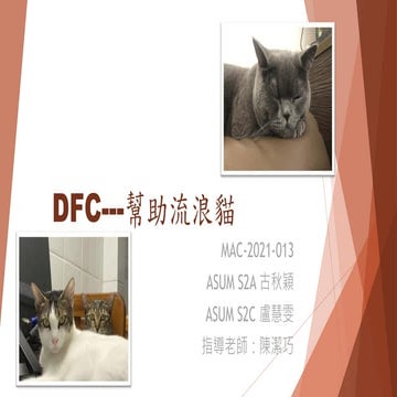 MAC-2021-013 Help cat!