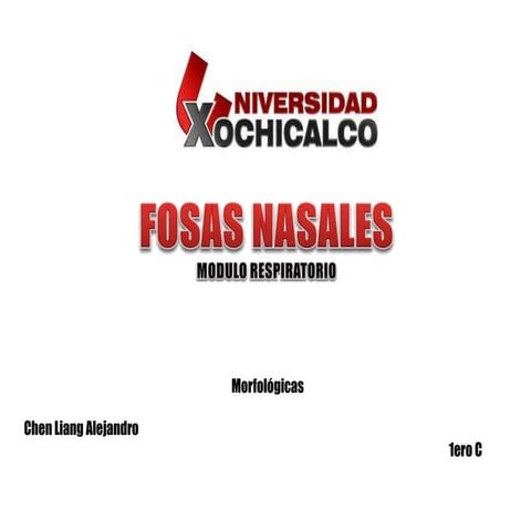 Fosas nasales (embriologia, histologia, anatomia)