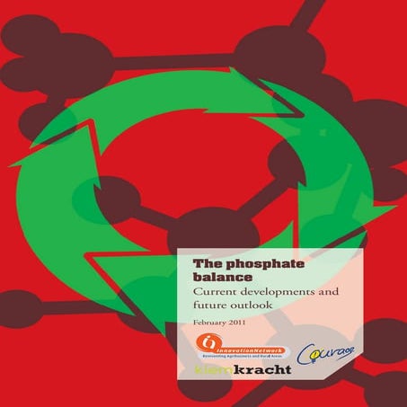 The Phosphate Balance 