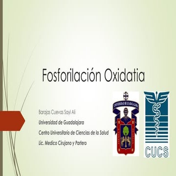 Fosforilación oxidativa