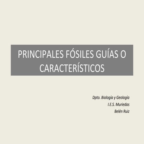 Principales fósiles guías o característicos