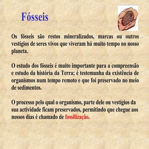 Fosseis | PPT