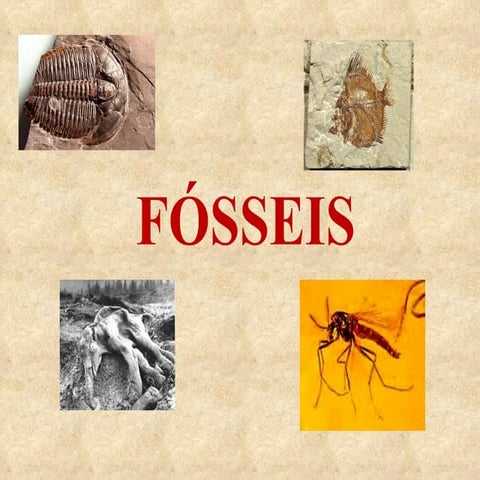Fosseis | PPT