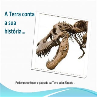 Fosseis E DataçãO Das Rochas