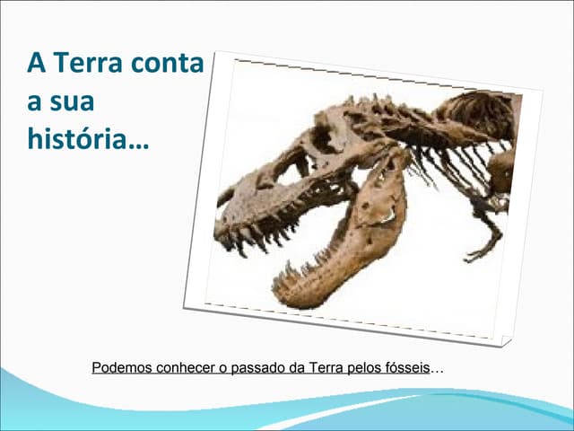 Fosseis e Datação ras Rochas