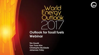 Webinar: Outlook for Fossil Fuels