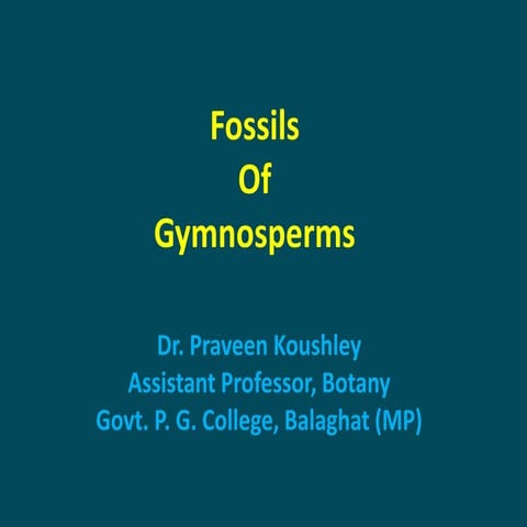 Fossil gymnosperms