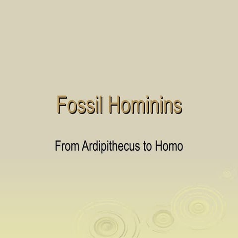 Fossil Hominins: From Ardipithecus to Homo