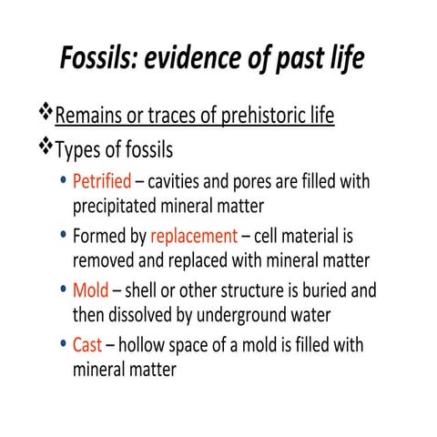 Fossils