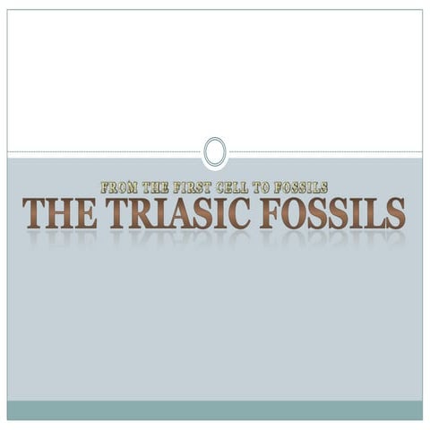Fossils
