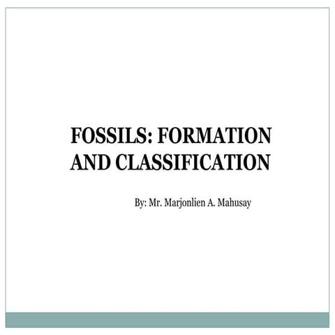 Fossils: Formation and Classification