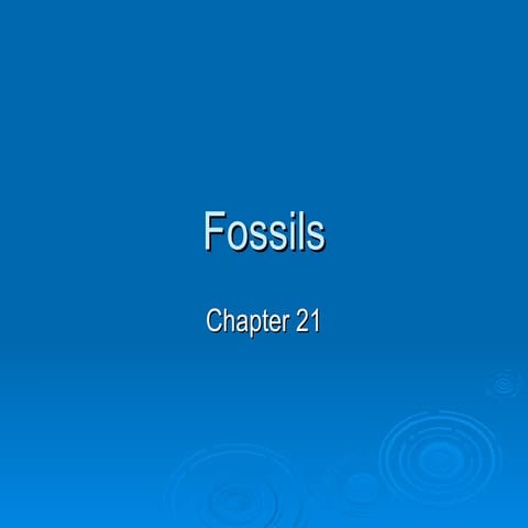 Fossils Lecture
