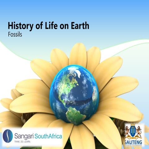 History of life on earth on fossils and dead species