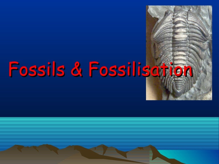 Fossils and fossilization