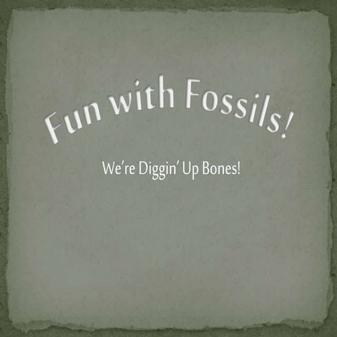 Fossils are fun