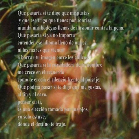 Foto Poemas[1]