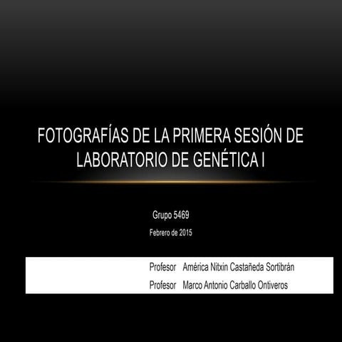 Fotografías de la primera sesión de laboratorio