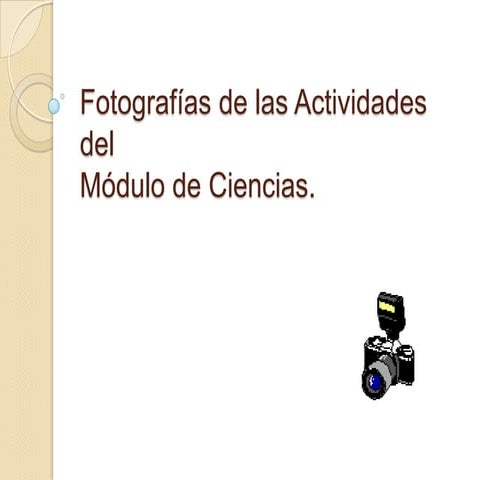 Fotografías de las actividades del
