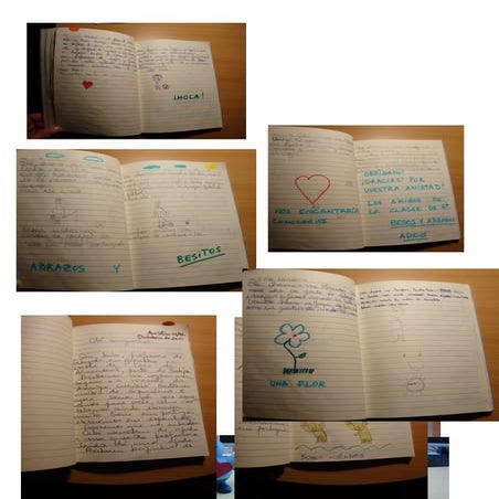 Projeto "Amigo Curioso"