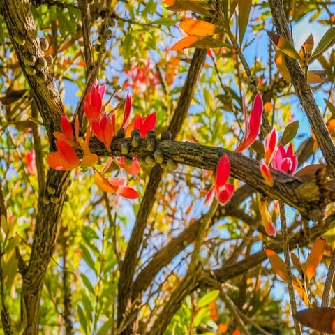 Φωτογραφίζω το Φυσικό Περιβάλλον της περιοχής μου 
