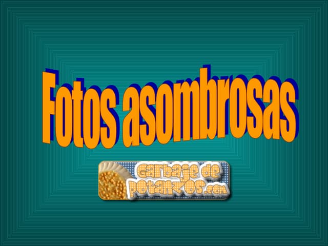 Fotos Asombrosas