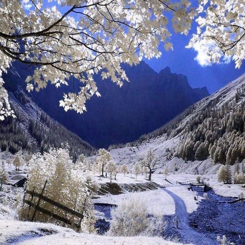 Fotos de invierno en las montañas