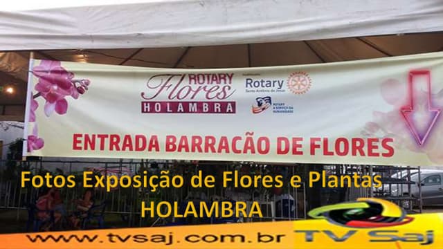 Fotos exposição de flores e plantas holambra, s.a.jesus, 14.11.16