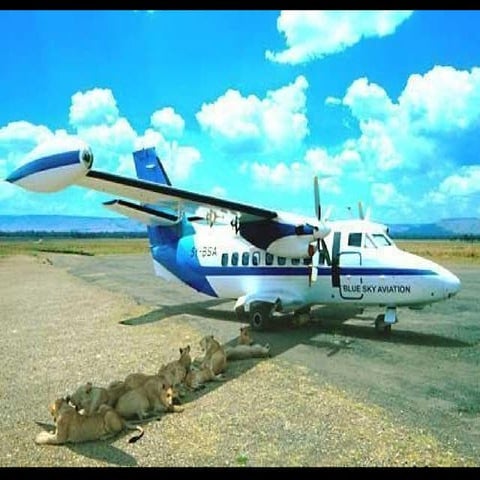 Fotosincreiblesperociertas