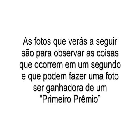 Fotos Instantâneas.Pps