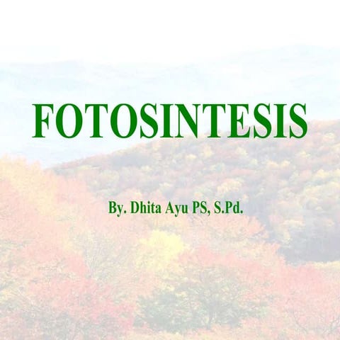 F O T O S I N T E S I S - dhita