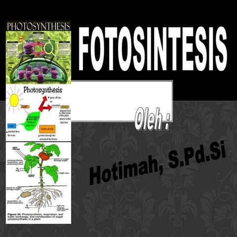 Fotosintesis