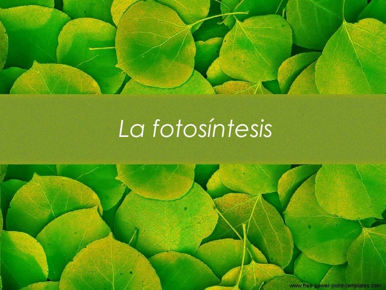 aceleradores de metabolismo consejos