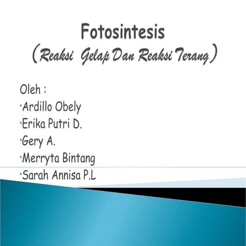 FotosintesisREAKSI GELAP DAN TERANG