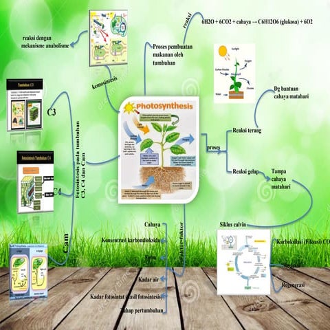 Mind Map Tentang Respirasi