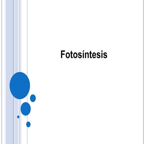 Fotosintesis
